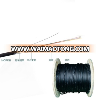 2 / 4 / 6 / 8 / 12 / 16 / 24 Core Single Mode Outdoor Armoured GYXTW Fiber Optical Cable 1km Price